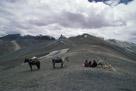 Mots cles: , Description: Hemis Darcha Trekking, Zalung Karpo La-Sorra, Date: February 24, 2007, Heure: 22:20, Camera: Nikon Nikon COOLSCAN IV ED, Exposition: , Focale: , Objectif: , Sensibilite: , Nom de fichier: 143_C43, GPS: , Etoiles: , Copyrights: VVK 2012, Hemis Darcha Trekking, Zalung Karpo La-Sorra