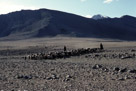 Mots cles: , Description: Hemis Darcha Trekking, Lungmo Che-Manali-Leh road, Date: February 24, 2007, Heure: 22:20, Camera: Nikon Nikon COOLSCAN IV ED, Exposition: , Focale: , Objectif: , Sensibilite: , Nom de fichier: 200_D50, GPS: , Etoiles: , Copyrights: VVK 2012, Hemis Darcha Trekking, Lungmo Che-Manali-Leh road