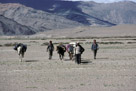 Mots cles: , Description: Hemis Darcha Trekking, Lungmo Che-Manali-Leh road, Date: February 24, 2007, Heure: 22:20, Camera: Nikon Nikon COOLSCAN IV ED, Exposition: , Focale: , Objectif: , Sensibilite: , Nom de fichier: 204_E04, GPS: , Etoiles: , Copyrights: VVK 2012, Hemis Darcha Trekking, Lungmo Che-Manali-Leh road