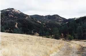 Bear Mountain, Henry Coe State Park