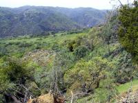 Mohoney Ridge from Coit Lake