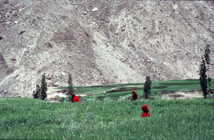 Alpinism, Himalaya, Hispar, Hispar Valley, Karakorum, Pakistan, Places, sport