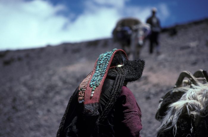 Hemis, Ladakh, Himalaya, India, Places, Treking to Darcha