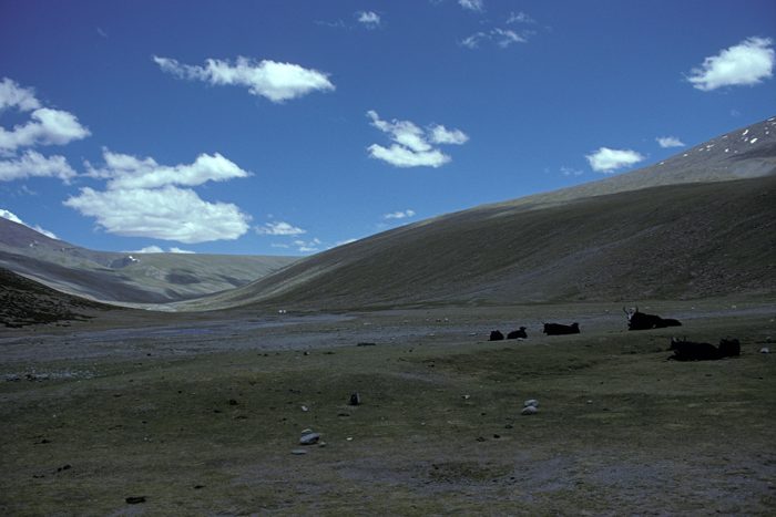 Hemis, Ladakh, Himalaya, India, Places, Treking to Darcha