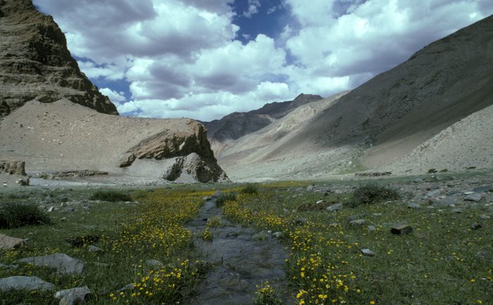Hemis, Ladakh, Himalaya, India, Places, Treking to Darcha